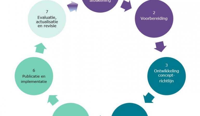 Figuur Proces richtlijnontwikkeling
